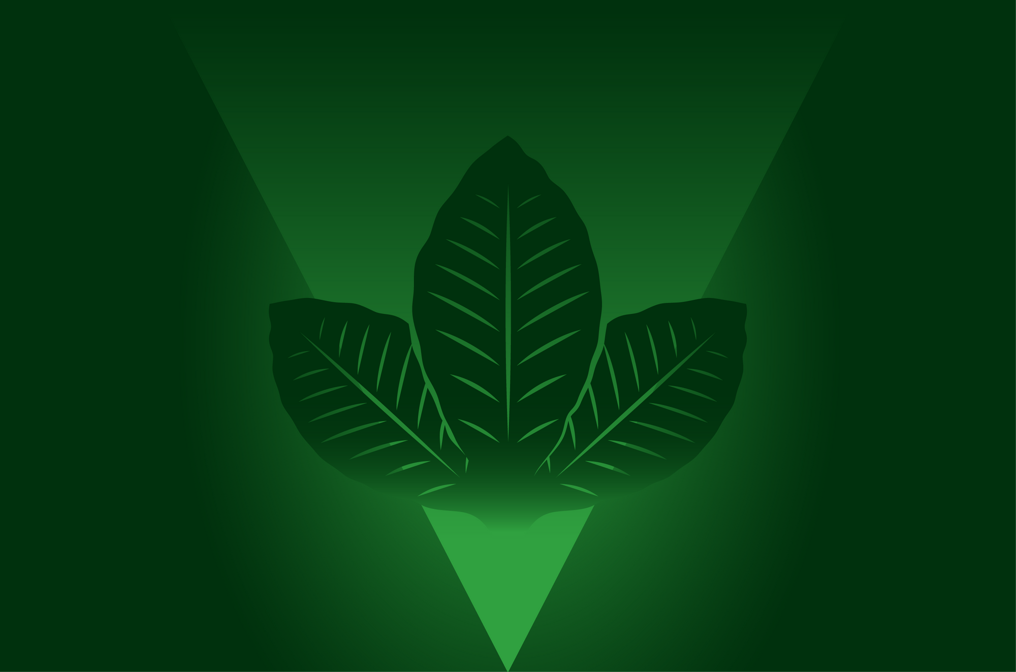 GreenKra Gift Card